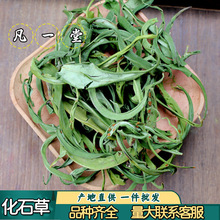 凡一堂 化石草 肾精茶 黄金草嗷嗷叫自然晾晒 道地选材可无痕发货