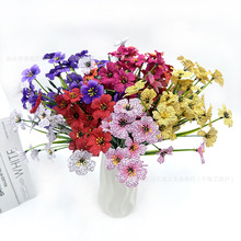 �S�ҬF؛5�^�������_�m�����m��������͏d�[���b�С�r�շ��滨