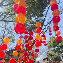 �������L��ʽ�������t�����\����ɫ�����ˮͥԺ�Շ������b�