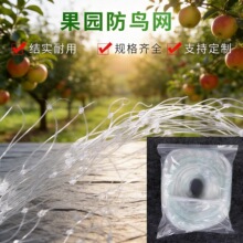 跨境聚乙烯pe果园防鸟网绿色庭院阳台花卉透明防护防鸟网Bird net