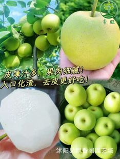 �����޽ӹ��䮔��Y���ϱ���ͥԺ���Ը߮a�׳ɻ��ļ����Թ�����