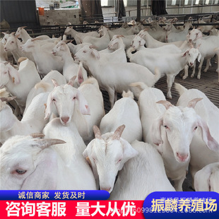 �F؛����������ɽ�� ��ɽ����Aĸ�� ɽ����� С�����Bֳ���r��