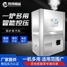 鍋爐蒸汽機商用蒸汽發生器電加熱節能電熱鍋爐饅頭豆腐煮漿蒸氣機