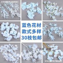 �{ɫ��c���滨ӆ��Y����b�·�������ϻ����T���ٻ���ˇ����