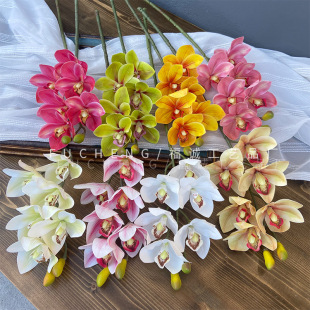 3D��ӡޥ�m���滨��c�廨�Ҿ��̈����h�F���b��������Q�����m��