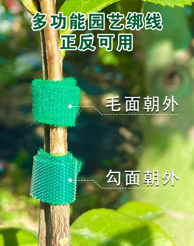 背靠背详情页1