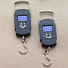 number Mini Portable scales 50kg express Weight new pattern portable Electronics Weigh Spring Household say