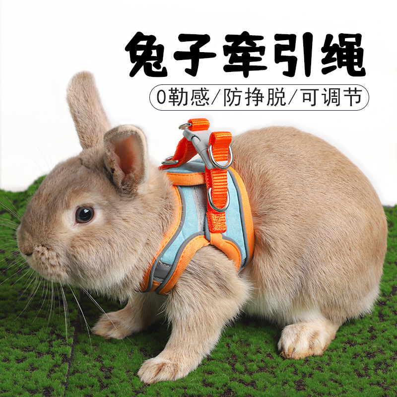 ウサギ牽引ロープベスト、ウサギ牽引ロープ、脱走防止牽引ロープ調整加工品、ペットドワーフウサギのお出かけ用品|undefined