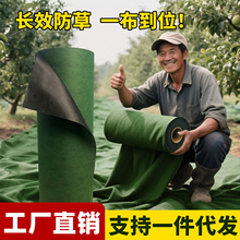 �羳���@���ݲ�������͸ˮ�����ֲݲ� ���Ƙ���~�@ˇ����