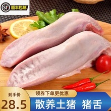 顺丰包邮10只猪舌新鲜急冻无根猪口条猪舌头猪口条干净新鲜急冻
