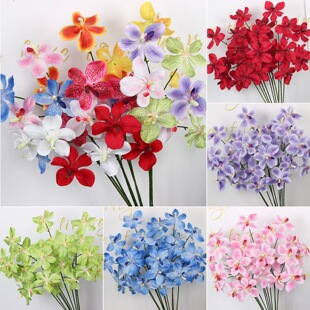 �����m���f���m���滨�bٻ���Y��·�����ò廨�������S�����l