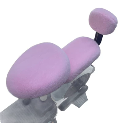 Seat Cushion, Other Electric Vehicle Accessories