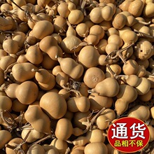 ��Ȼ������������؛Դ��������S���^�ؔ�С���Jһ�ֹ���С�֎�