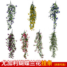 �羳���R�d�����ȼ��������m����ɫ���ڒ��b��������Gֲ�ٻ�