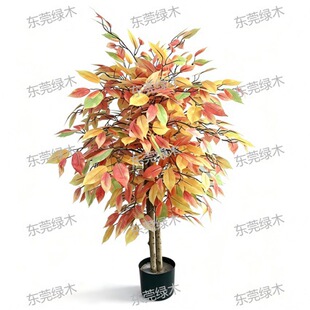 Artificial Autumn Ficus Tree ���~�ŷ����