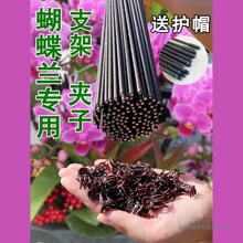 �����m��֧���m�A��֧�ΗUֲ�����ٻ��܏����̶������F�z֧�܈@ˇ