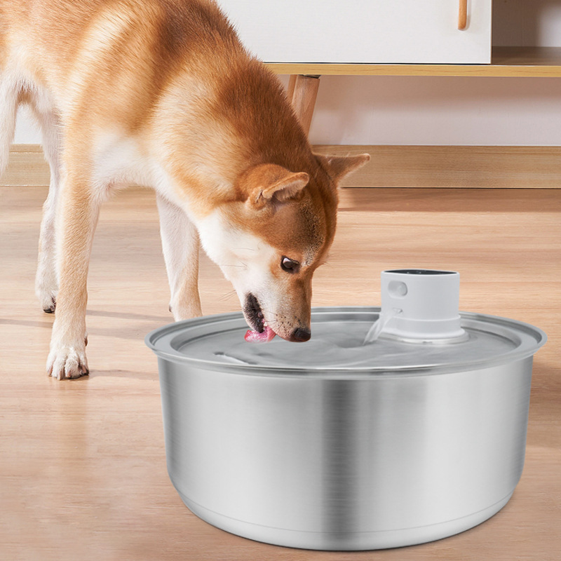 Equipo inteligente de acero inoxidable, dispensador de agua para mascotas, sensor automático de agua potable para gatos, dispensador de agua para gatos