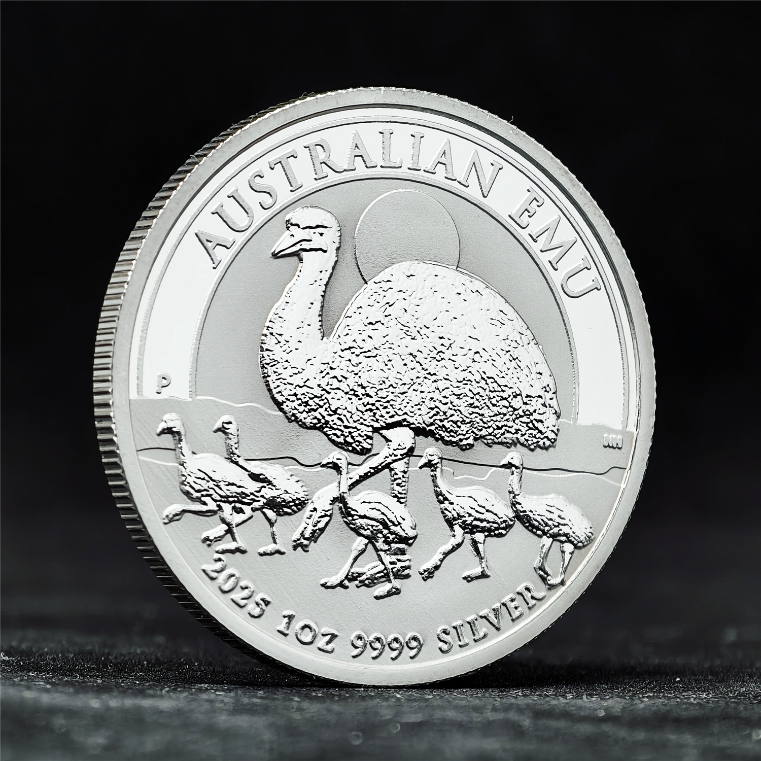 澳大利亚 鸵鸟 (1).jpg