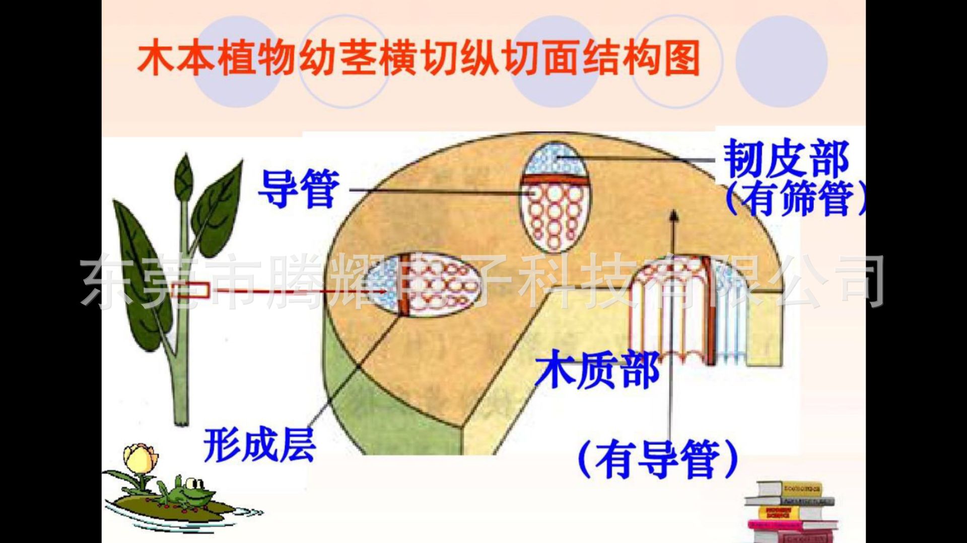 微信图片_20230907001219