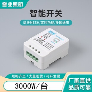 Bluetooth Time Control Switch High-Voltage Dimmer Control Timed Cycle Power-Off Memory Intelligent Control