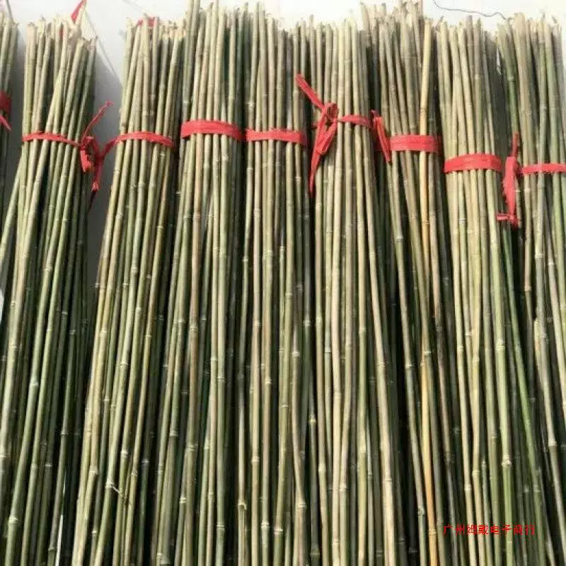 Q2 бамбуковый столб оптовая продажа небольших овощей