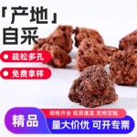 火山岩颗粒大袋鱼缸专用多肉铺面污水处理过滤天然黑色红色火山石