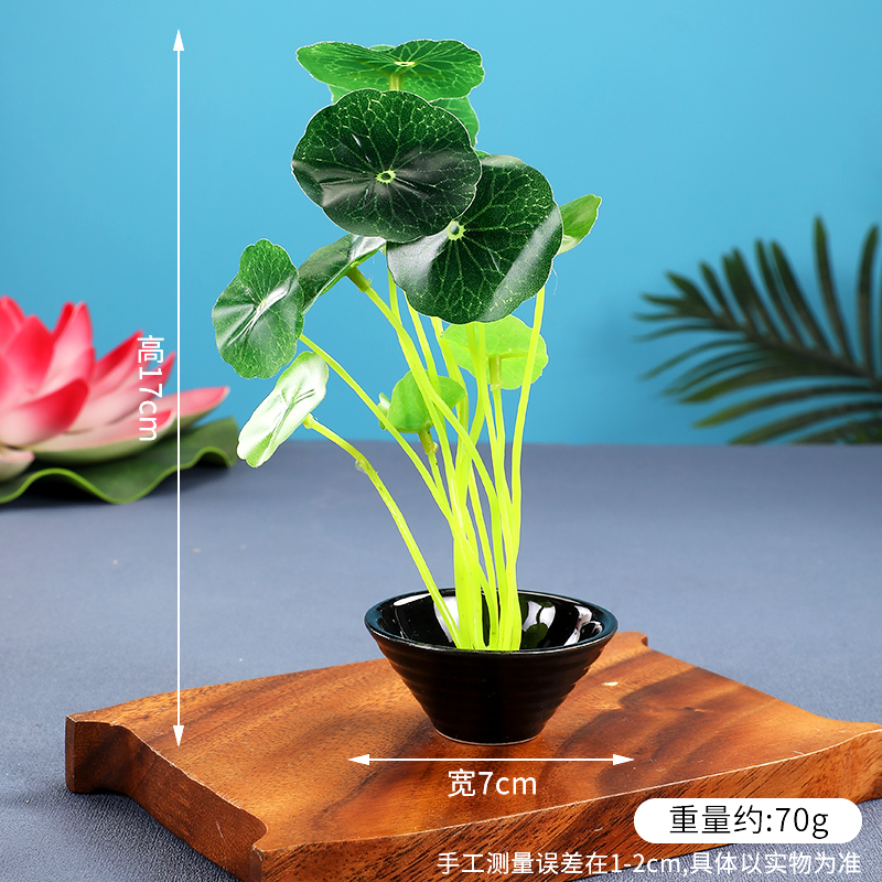 酒店菜品摆盘装饰点缀冷菜装饰花草摆盘刺身绿毛球三文鱼摆件围边|undefined