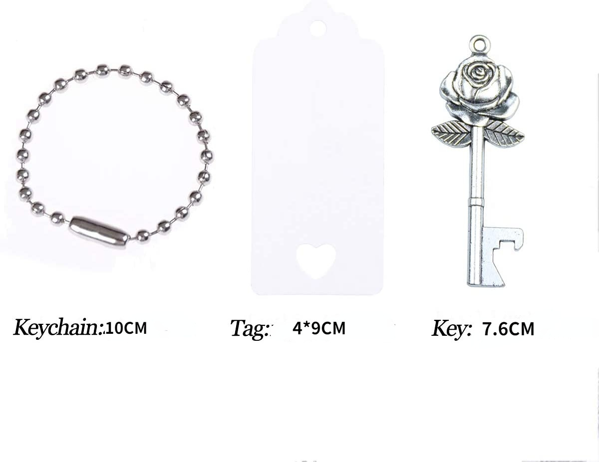 61QuAd7SirL._AC_SL1200_ (4).jp