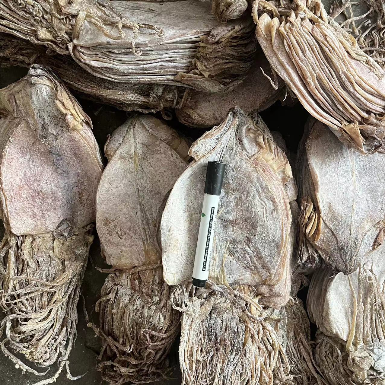 微信圖片_20220701153612