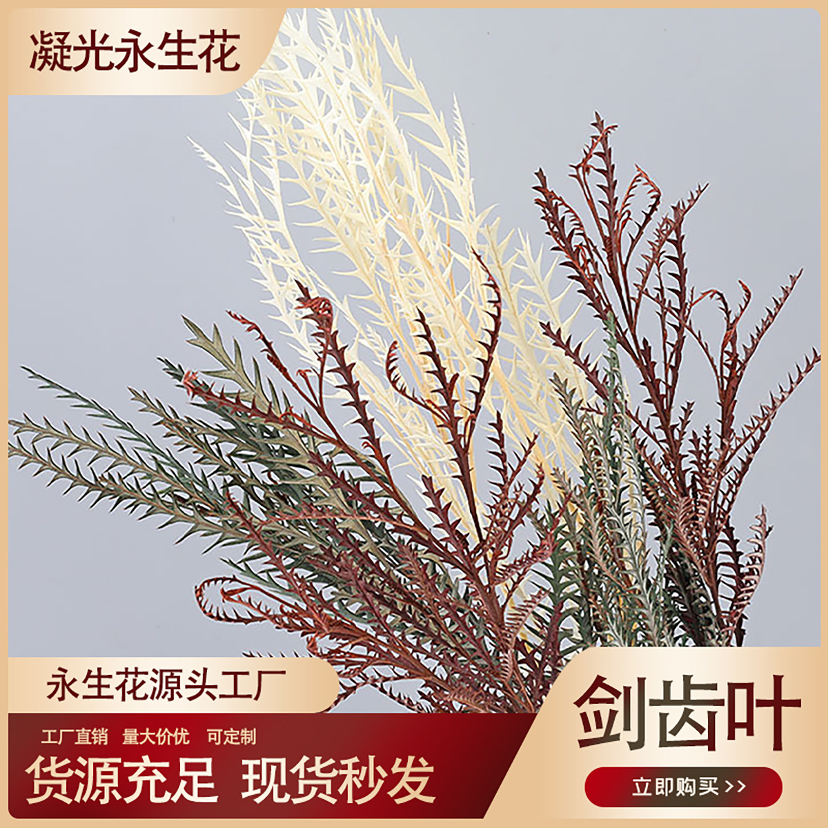 【剑齿叶】永生花干花锯齿叶真花插花装饰羊齿叶diy叶材厂家批发