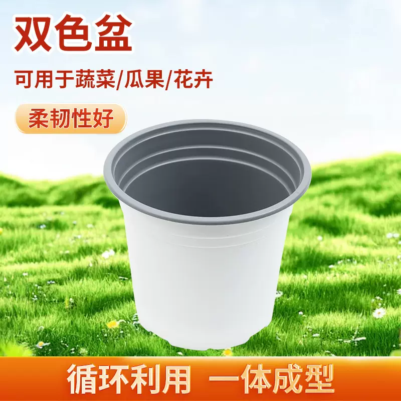 批发双色盆加厚白色扦插育苗盆营养塑料钵家庭草莓多肉植物花盆