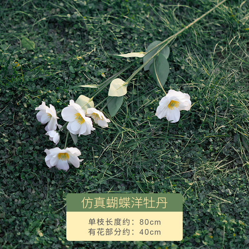 시뮬레이션된 나비 모란
