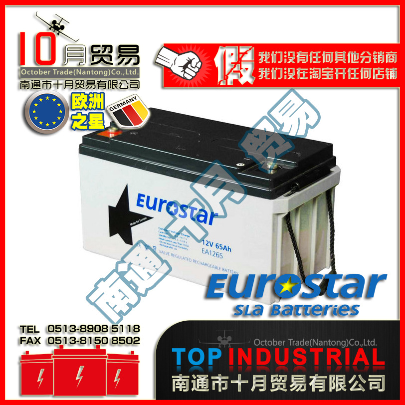 德国EUROSTAR蓄电池 EA1265 原装进口