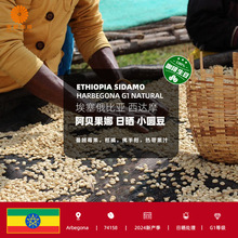 �������ȁ��M�����_Ħ��ؐ�����Օ�С�A����Ʒ��������2025�®a��