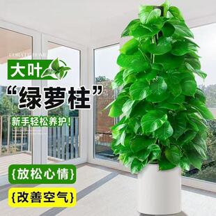 ���~�G�}�������Կ͏d���;Gֲ�҃ȾG�}����ȩ�����՚�ֲ����B��