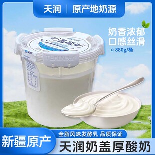 新疆天润天润奶盖酸奶圆桶装低温酸奶全脂发酵乳880g*1桶装-阿里巴巴