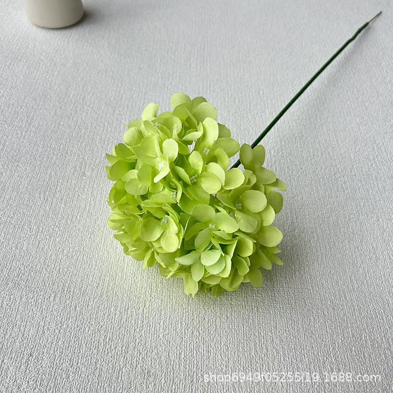 연한 초록색