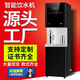 豪华型智能电热开水器净水器不锈钢商用饮水机医院步进式直饮水