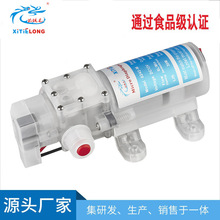 厂家供应家用抽酒泵 食品级水泵单泵 直流自吸 12V70W电动隔膜泵
