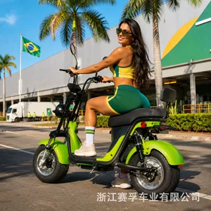 Brazilian market Citycoco Harley-style wide-tire adult electric vehicle, electric bicycle, electric motorcycle, electric scooter wholesale