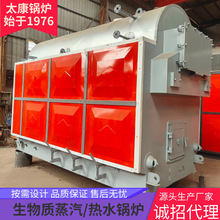活动炉排生物质蒸汽锅炉 DZH2-6吨 定制设计 手烧炉满足多样需求