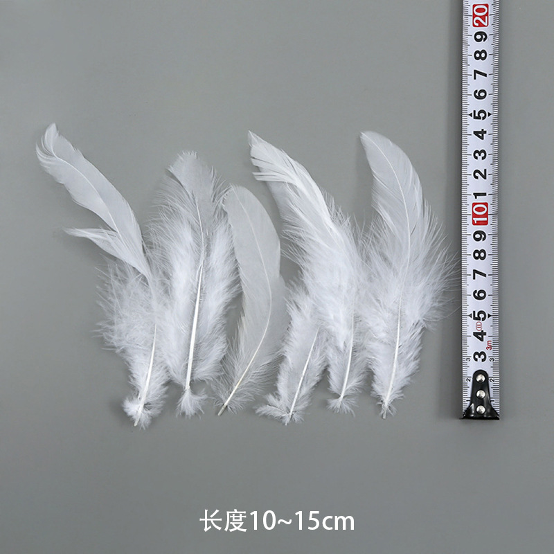 바이용(100의 배수로 주문)