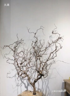 �U���֦�[����������ԭľ���bڒ��ֲ���������֦�F�z�r��