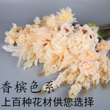 �㙉ɫϵ��Y�ý�����ĵ���d�ӻ������m�ٻ��ȼ���������~��