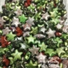1520# mixed color stars 10 pcs