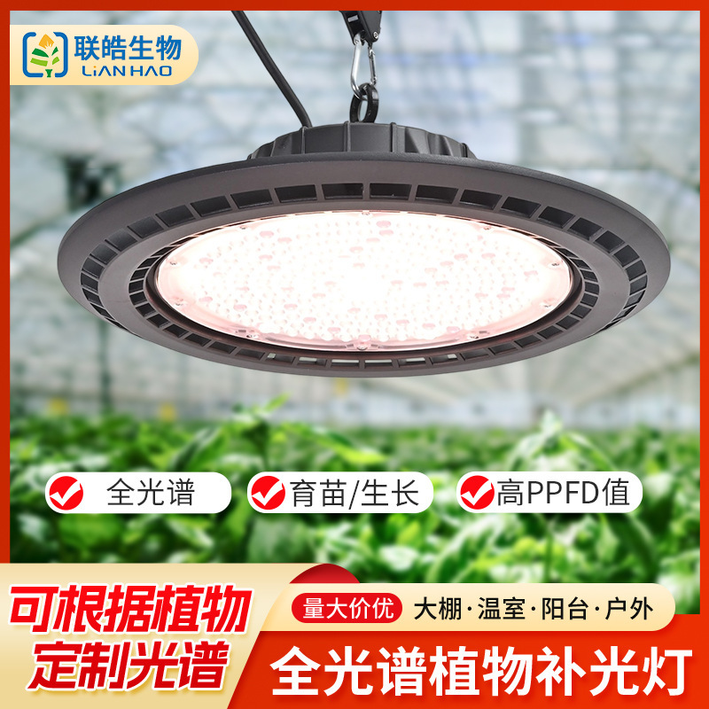 LED plant lamp