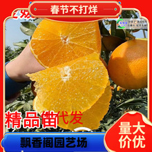 һ�����l��Ʒ����38̖�����������������ɽ�t�������Ә�̽۳���