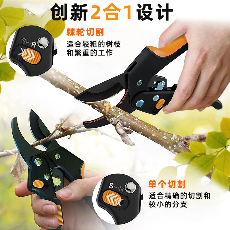 O1CN01FQ7ivA1kAXn0KMWXo_!!9836