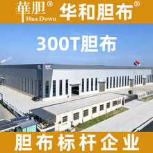 290T���޷�����  292T�޷��ڵ� ���ޱ����� �����׵�