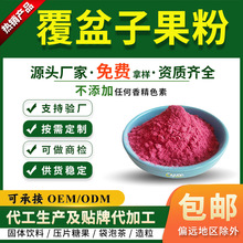 水溶性覆盆子果粉 树莓果粉 固体饮料原料 SC 厂家直供